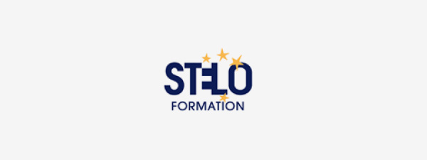 Logo stelo formation